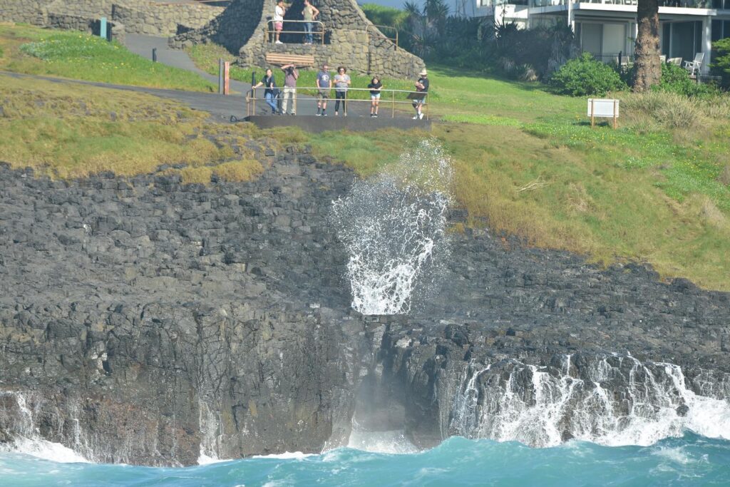 Shellharbour_Wild-Eco_Scenic_Cruise-Wildlife-Blowhole