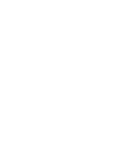 Whale Fun